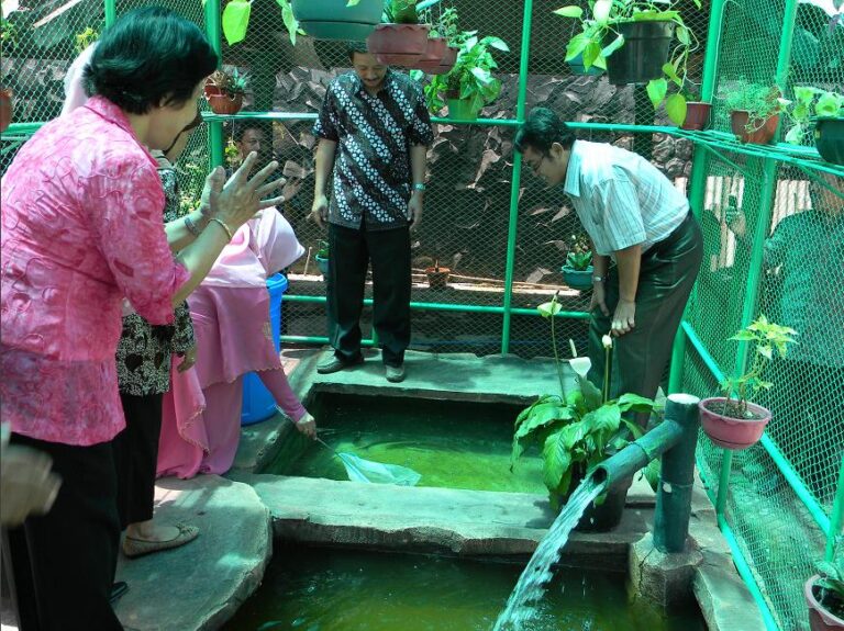 Kolam Budidaya Ikan Terpadu SMAN 21 Surabaya